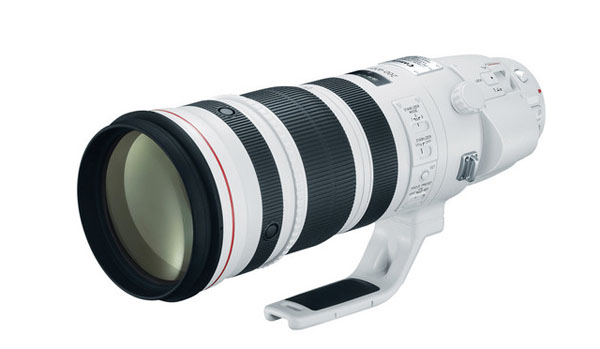 Canon 200-400mm F4 L IS USM