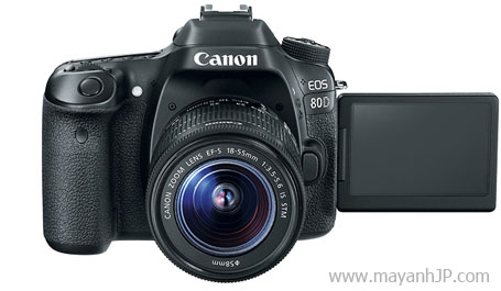 Canon 80D chuyên nghiệp: Những tay chụp ảnh chuyên nghiệp luôn lựa chọn máy ảnh Canon 80D để giúp họ chụp được những bức ảnh hoàn hảo nhất. Với nhiều tính năng độc đáo, chiếc sản phẩm này chắc chắn sẽ làm hài lòng tất cả mọi khách hàng.