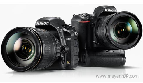 Nikon D750 Cũ